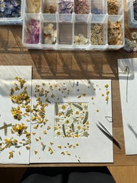 Image 4 of Pressed flower frame "Spring" 