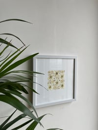 Image 1 of Pressed flower frame "The starry night"