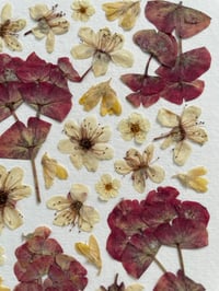 Image 4 of Pressed flower frame "Autumn" 