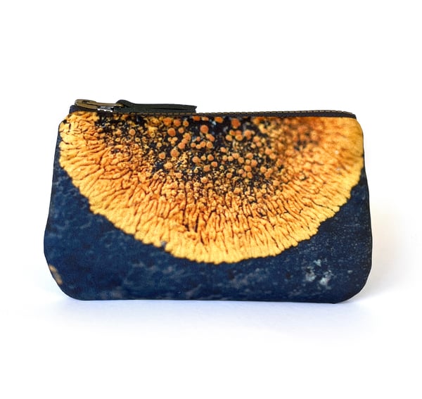 Image of Yellow lichen, velvet zipper purse