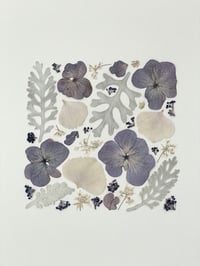 Image 3 of Pressed flower frame "Winter" 