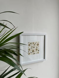 Image 1 of Pressed flower frame "Astrantia" 