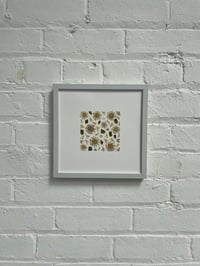 Image 2 of Pressed flower frame "Astrantia" 