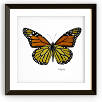 Mariposa "Monarch Effect"