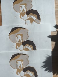 Image 3 of Porcini