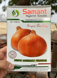 Onion Seed 