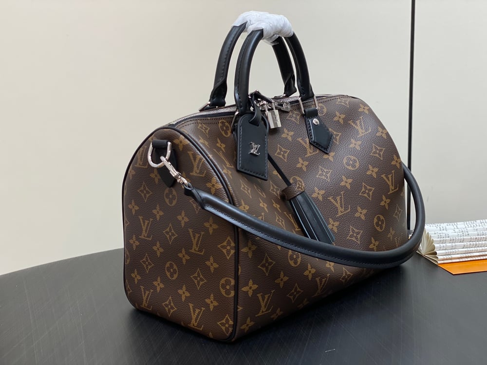 LV Speedy Soft Handbag