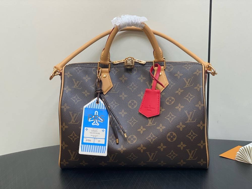 LV Speedy Soft Handbag