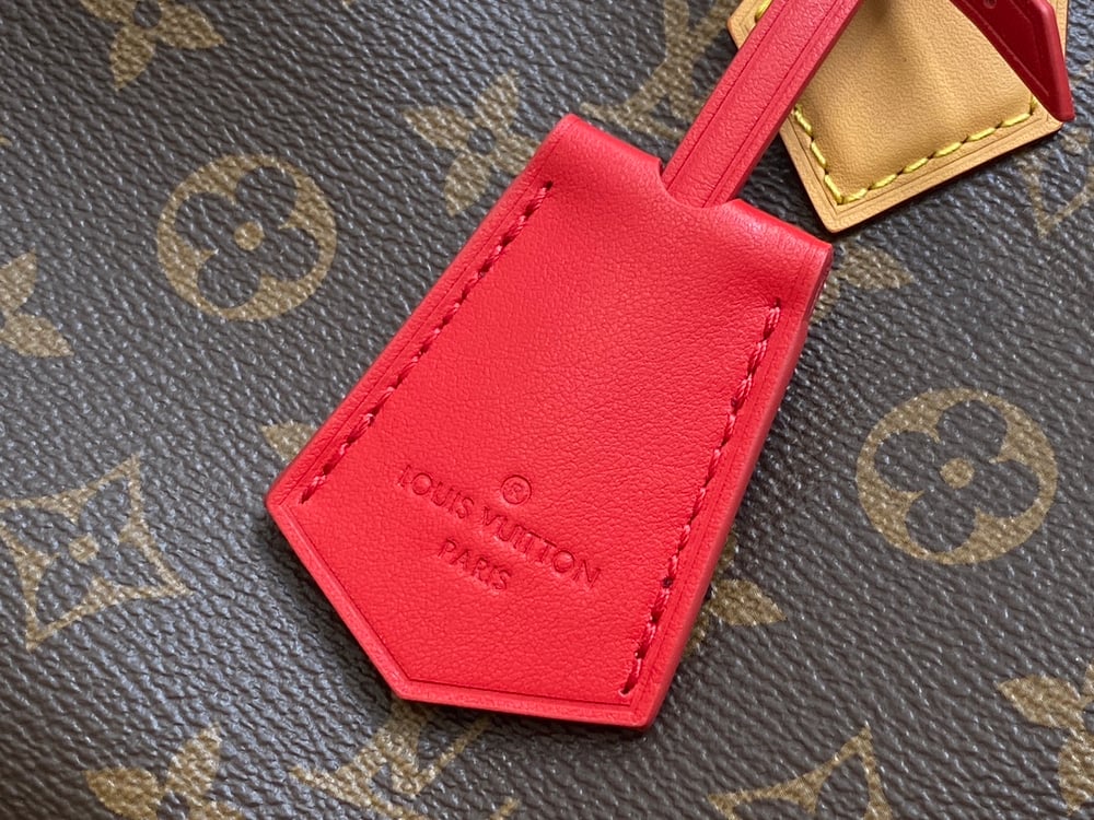 LV Speedy Soft Handbag