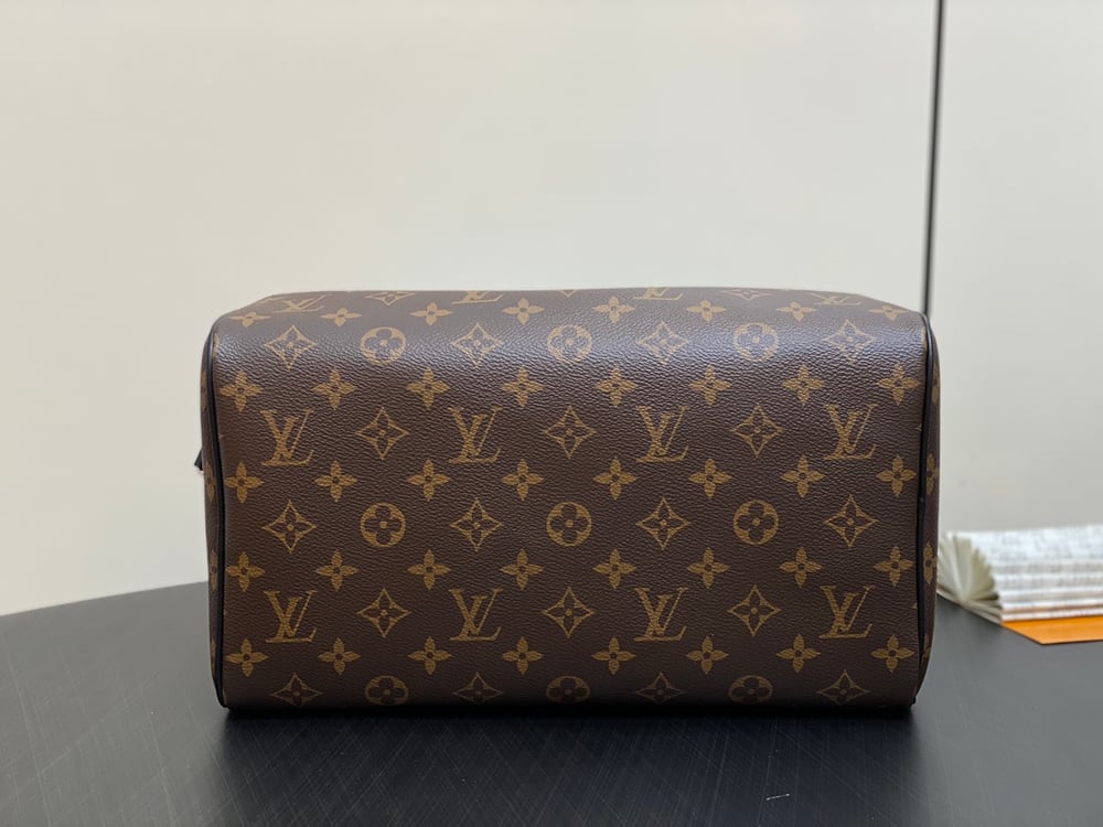 LV Speedy Soft Handbag