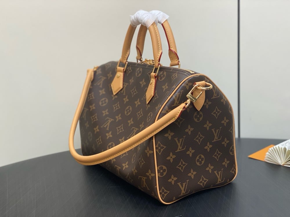 LV Speedy Soft Handbag