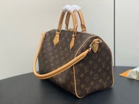 Image 8 of LV Speedy Soft Handbag
