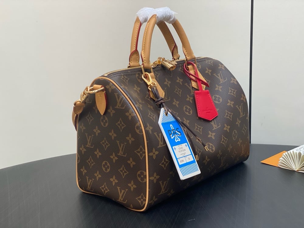 LV Speedy Soft Handbag