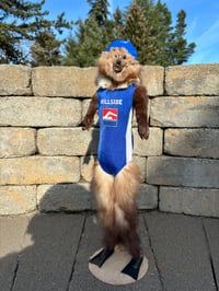 Image 1 of Swimmer Mink