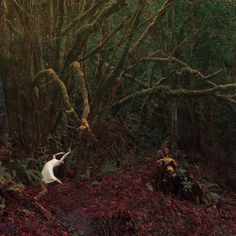 Image of Record Covers Set - 6 Individual Prints - ON SALE