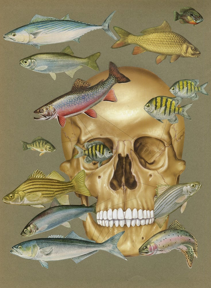 Image of Swim with the fishes. original collage