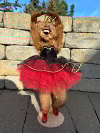 Image 1 of Ballerina Queen (lights up)