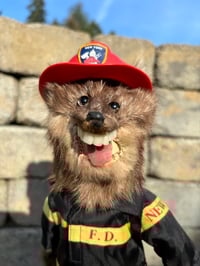 Image 2 of Fireman Joe 