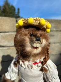 Image 2 of The Beautiful Mink Sofia 