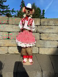 Image 1 of Red Vested Beauty 