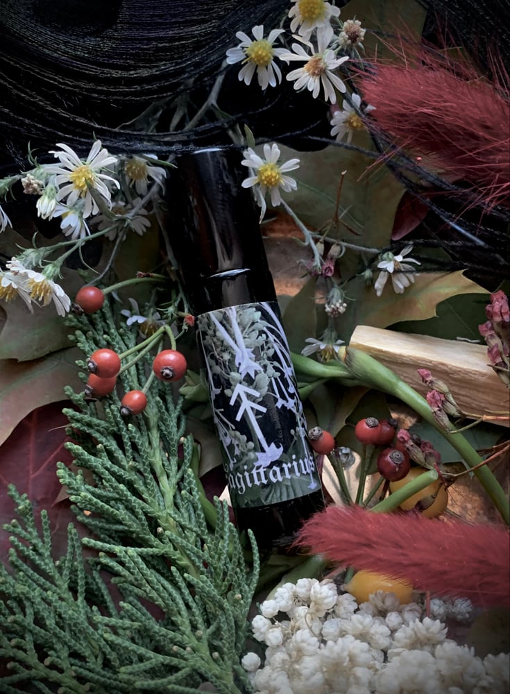 Image of Sagittarius Perfume Oil (Stinging Nettle, Sage, Spikenard, Tobacco)