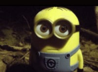 hello.... I'm your best friend for life....