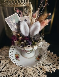 Wonderland Tea Cup