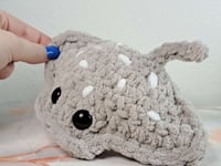 Image 2 of Stingray
