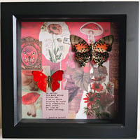 Scrapbook - Red Butterfly Pair