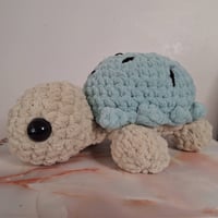 Image 1 of Ice Cream Tortoise