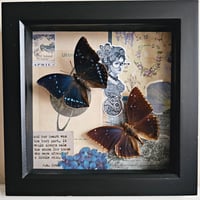 Scrapbook - Blue Butterfly Pair