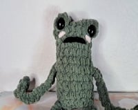 Image 1 of Leggie Frog