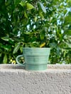 green mug