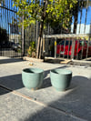 baby blue cup