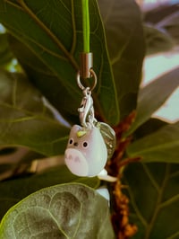 Tiny Totoro