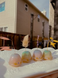 Image 3 of Jelly Babies