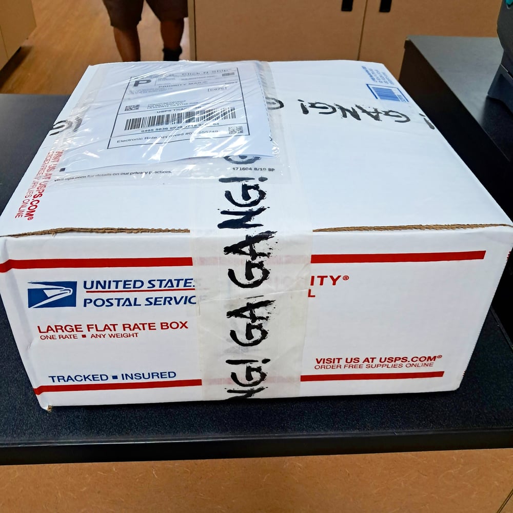 Image of $100 MYSTERY BOX 