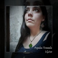 Image 6 of ☽ Populus Tremula ☾