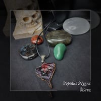 Image 5 of ☽ Populus Nigra ☾