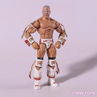 Image 1 of PRE ORDER - Ultimate Warrior - THE FINAL MATCH