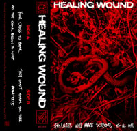 Healing Wound - Failures Will Make Serpents of us All