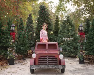 Image of Outdoor Minis 11/23