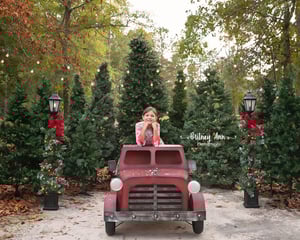 Image of Outdoor Minis 11/23