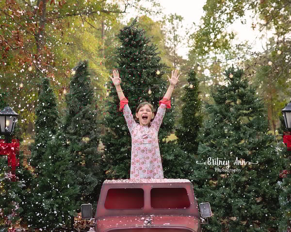 Image of Outdoor Minis 11/23