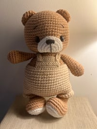 Image 1 of Bear Benny 