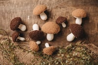 Image 1 of Cosy pumpkin and mushrooms set 