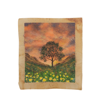 The Sycamore Gap Tree~ Spring