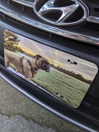 Image 1 of Aluminum scratch resistant license plate.