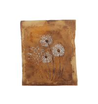 Dandelion Dreams