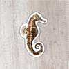 Seahorse Sticker